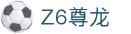 z6尊龙旗舰厅(中国)官方网站